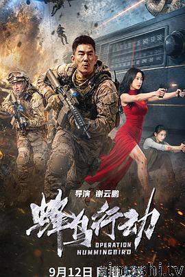 蜂鸟行动详情介绍,新片必看清单，高清在线看无广告，剧情解析帮你避坑