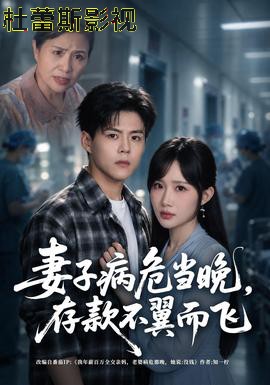 妻子病危当晚，存款不翼而飞详情介绍,新片推荐来袭，高清在线看，告别广告畅享好剧