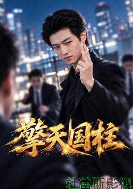 擎天国柱详情介绍,新片推荐必刷，高清在线看无广告，剧情走向全解析